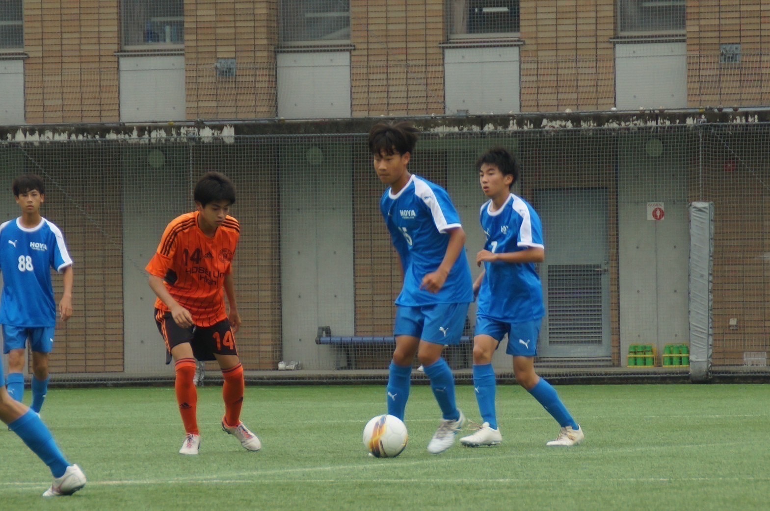 Image (3)